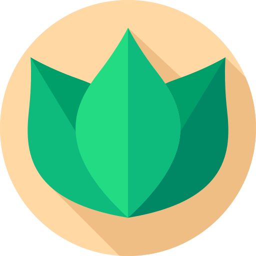 Coca leaves